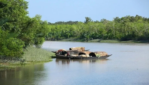 Sundarban trip