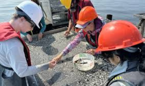 community water quality